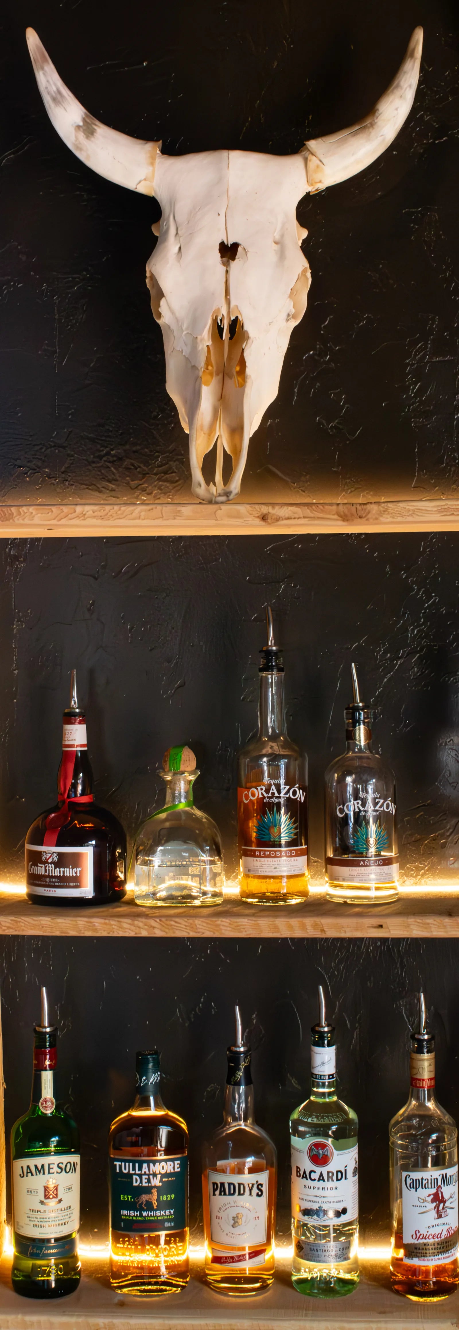 Bleached longhorn steer skull mounted on a black wall above two backlit wooden shelves holding liquor bottles.